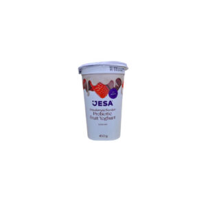 JESSA PROBIOTIC YOGHURT 450 GMS CARTON OF 12 PCS
